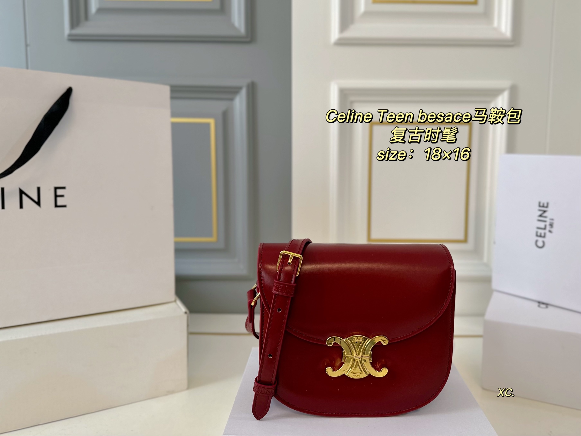CELINE bag 17